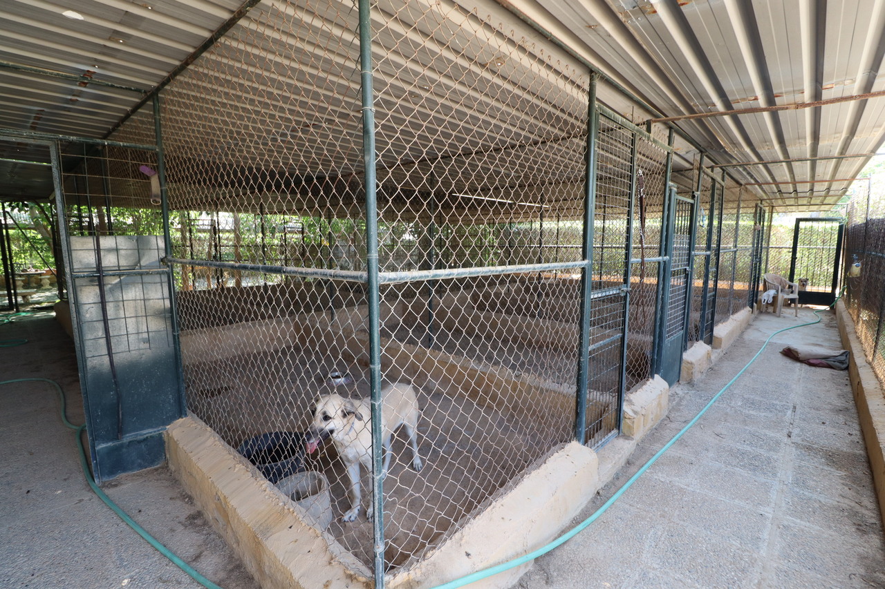 3 Bed, 2 Bath, HouseFor Sale, Sangonera La Seca, Murcia