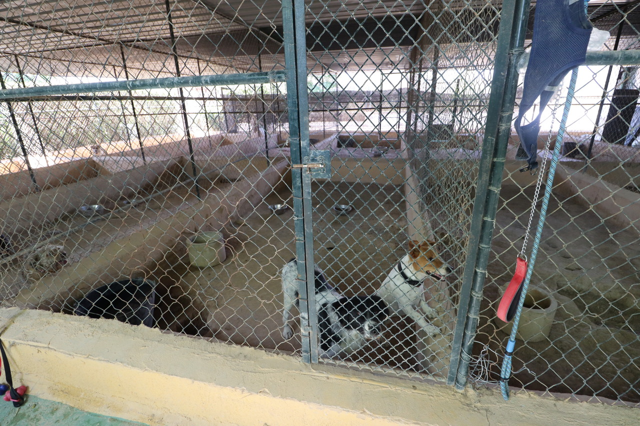 3 Bed, 2 Bath, HouseFor Sale, Sangonera La Seca, Murcia