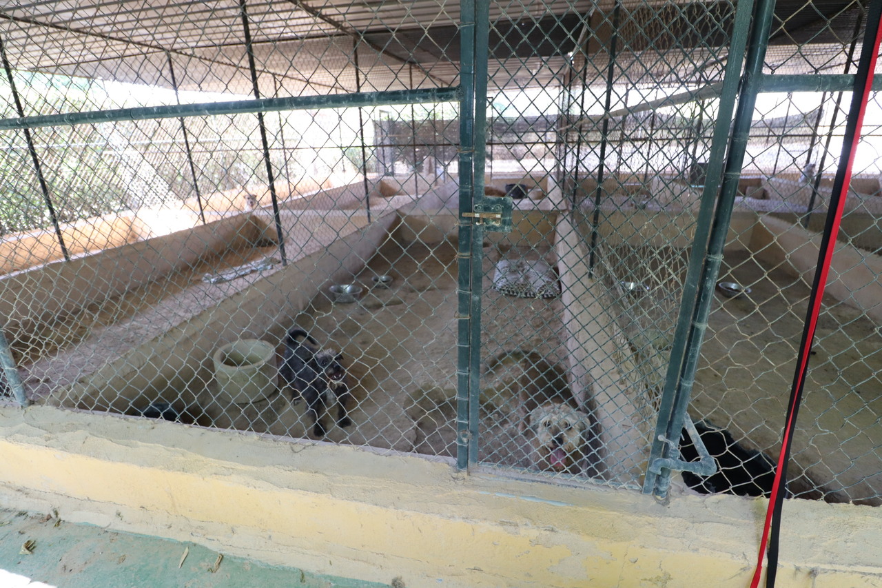 3 Bed, 2 Bath, HouseFor Sale, Sangonera La Seca, Murcia