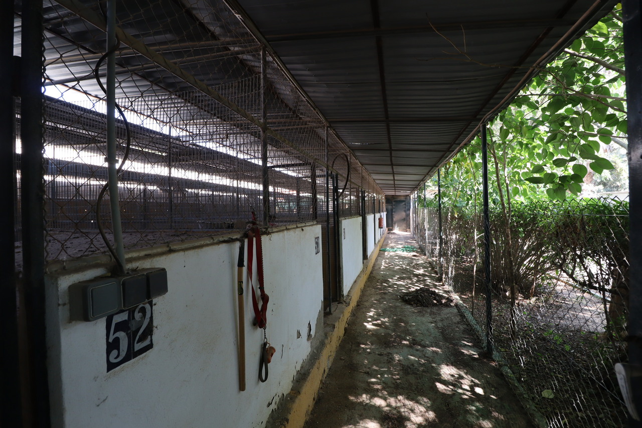 3 Bed, 2 Bath, HouseFor Sale, Sangonera La Seca, Murcia