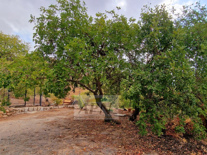 3 Bed, 2 Bath, HouseFor Sale, Álora, Malaga