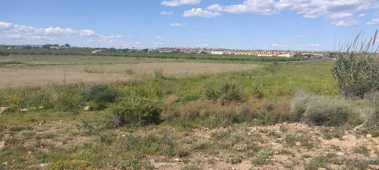 ApartmentFor Sale, Rojales, Alicante