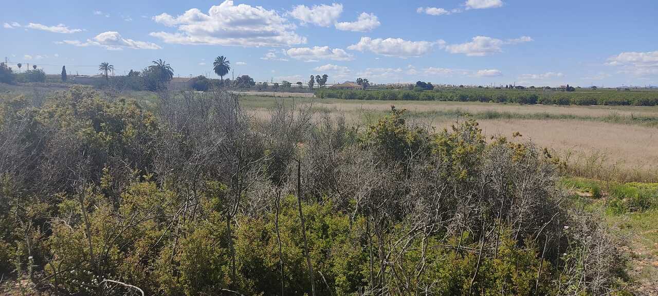 ApartmentFor Sale, Rojales, Alicante