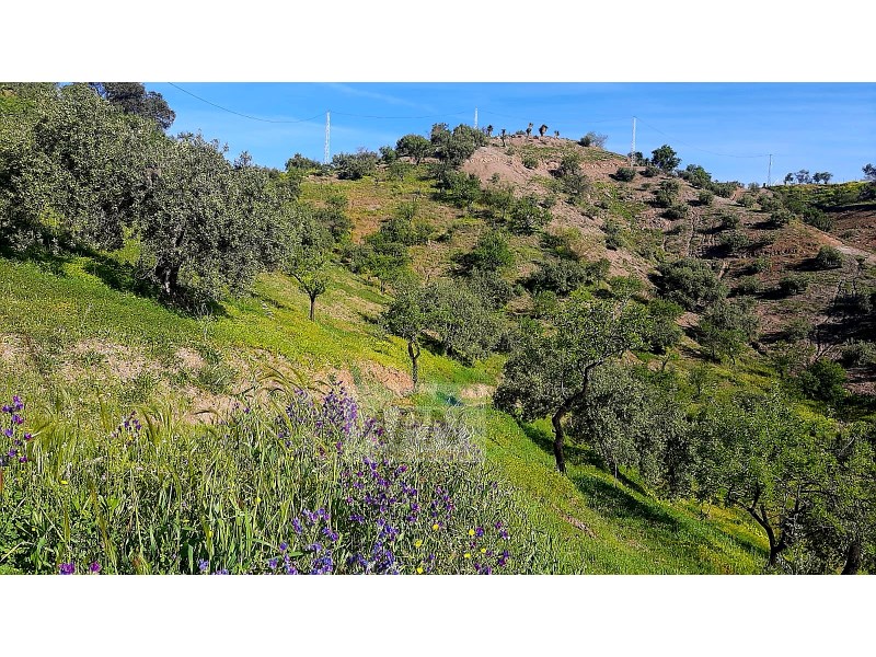 HouseFor Sale, Álora, Malaga