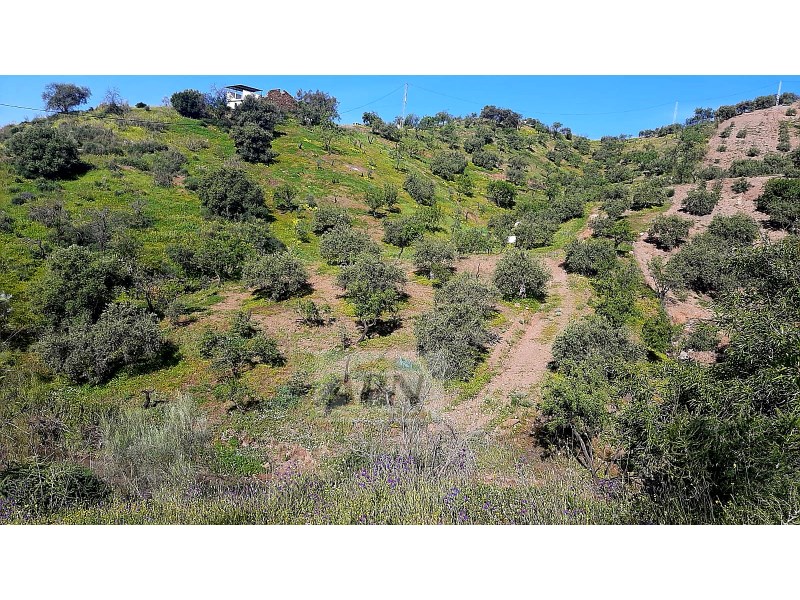 HouseFor Sale, Álora, Malaga