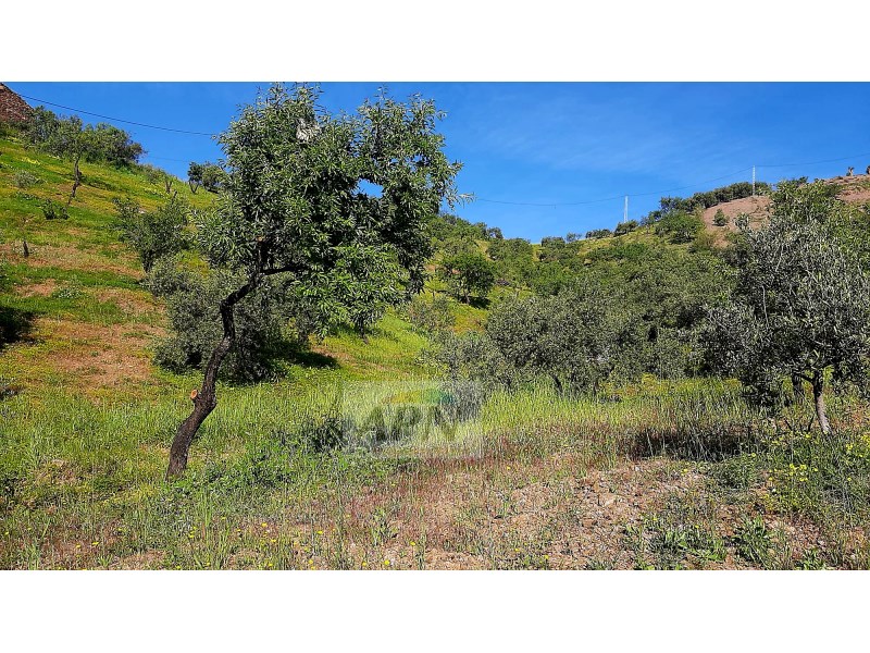 HouseFor Sale, Álora, Malaga