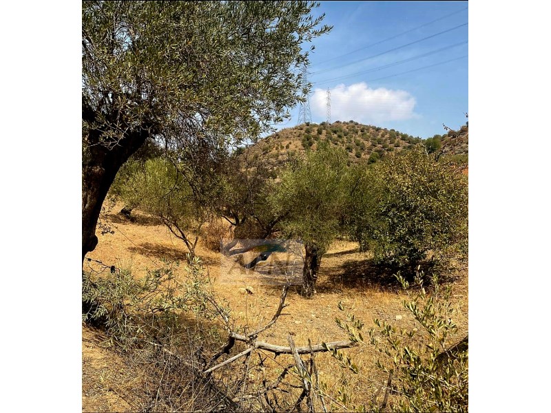 HouseFor Sale, Álora, Malaga