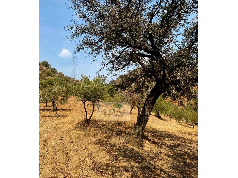 HouseFor Sale, Álora, Malaga