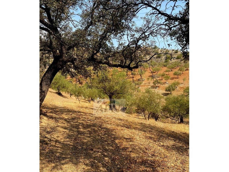 HouseFor Sale, Álora, Malaga