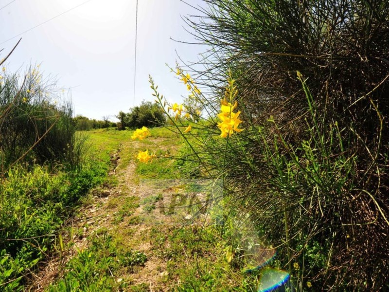 5 Bed, 5 Bath, HouseFor Sale, Álora, Malaga