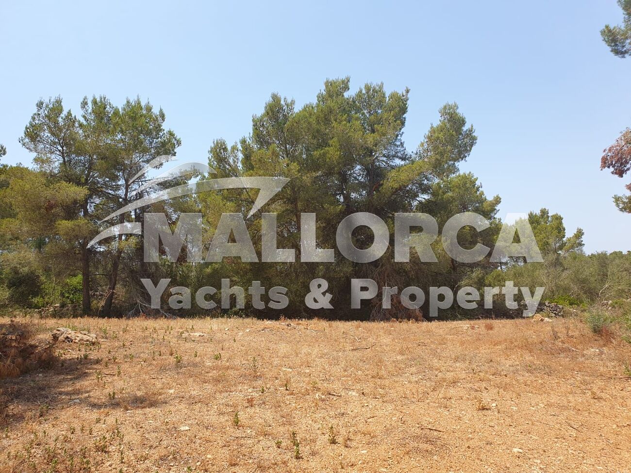 HouseFor Sale, Felanitx, Baleares