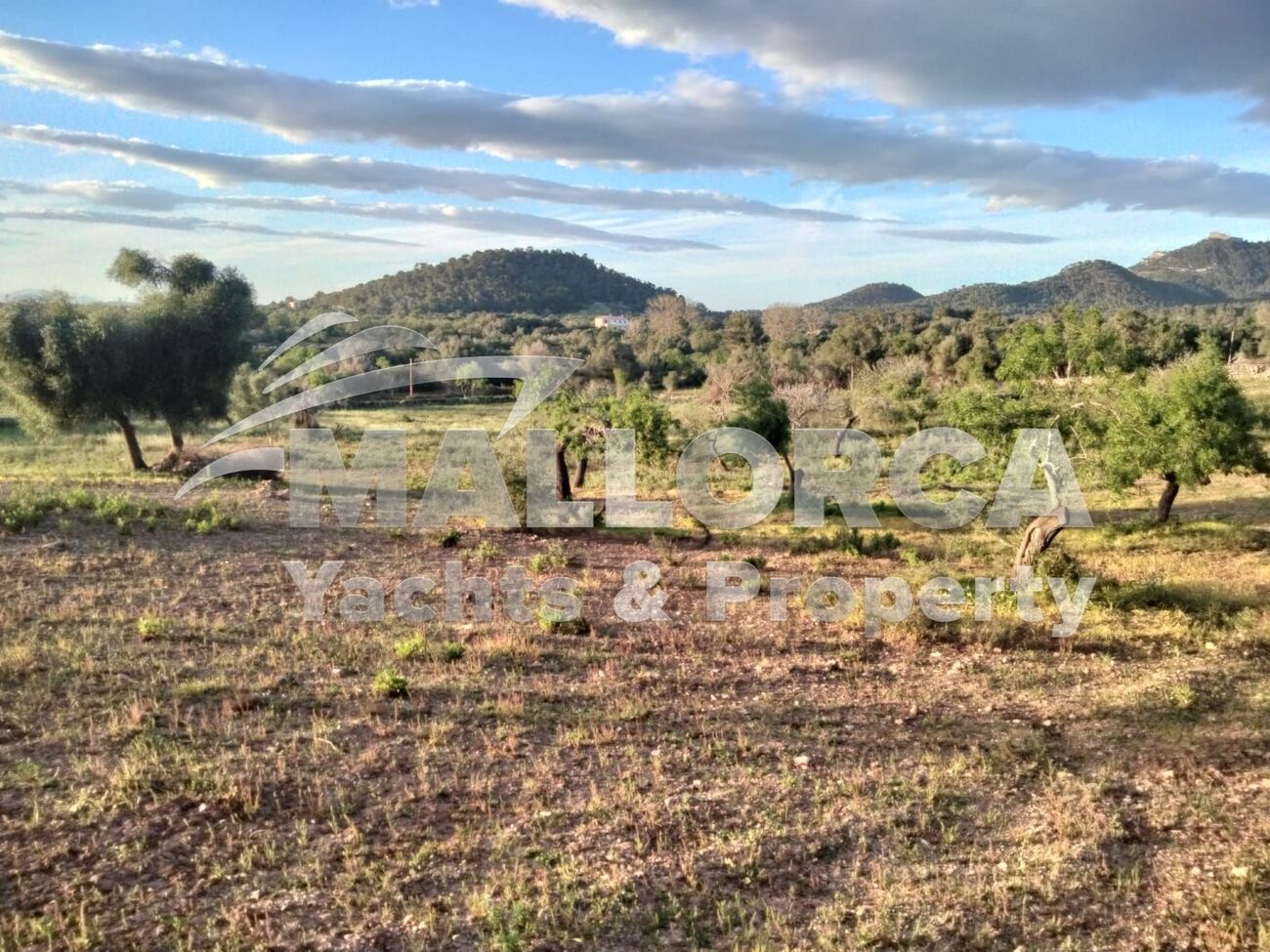 HouseFor Sale, Felanitx, Baleares