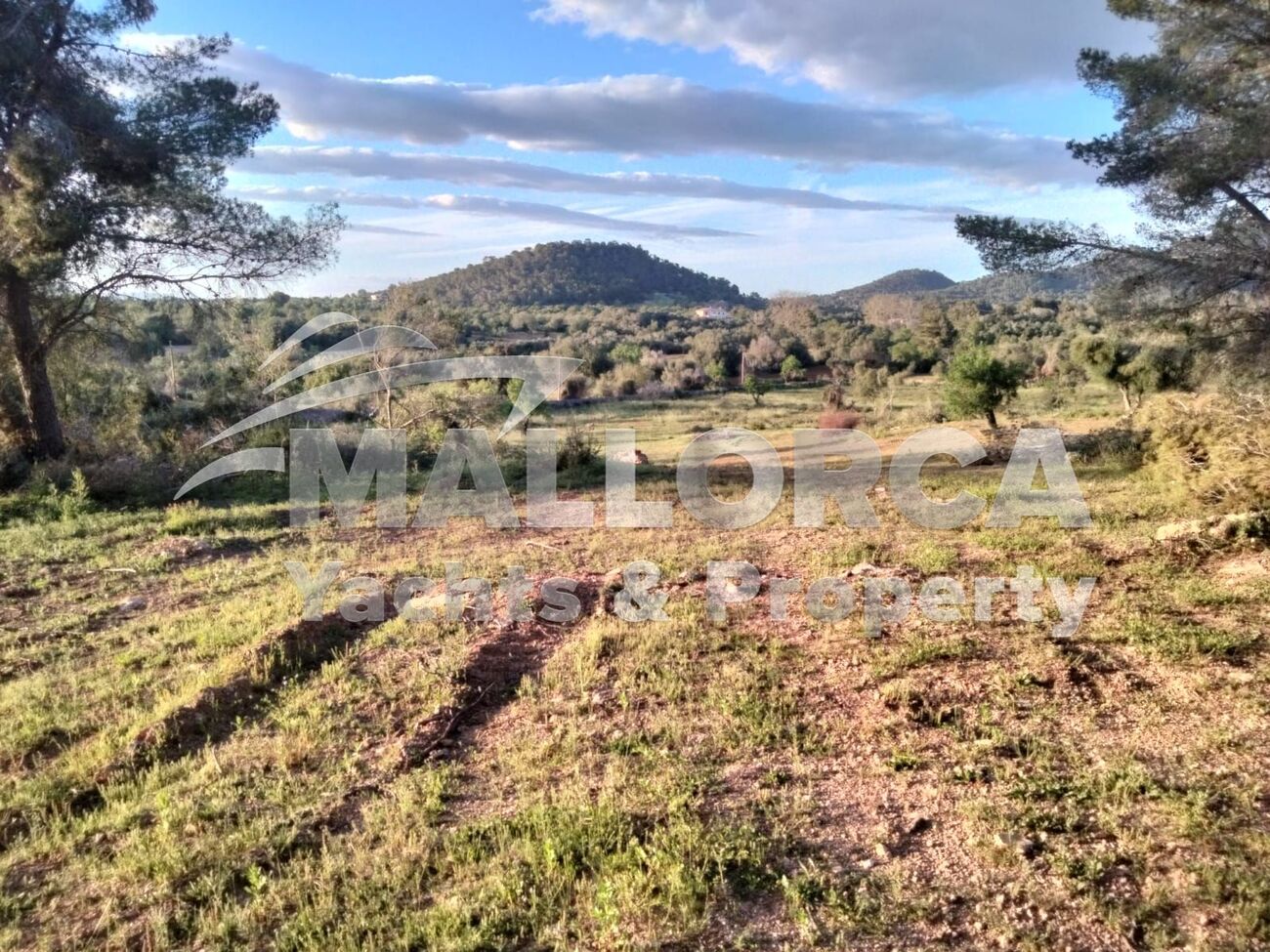 HouseFor Sale, Felanitx, Baleares