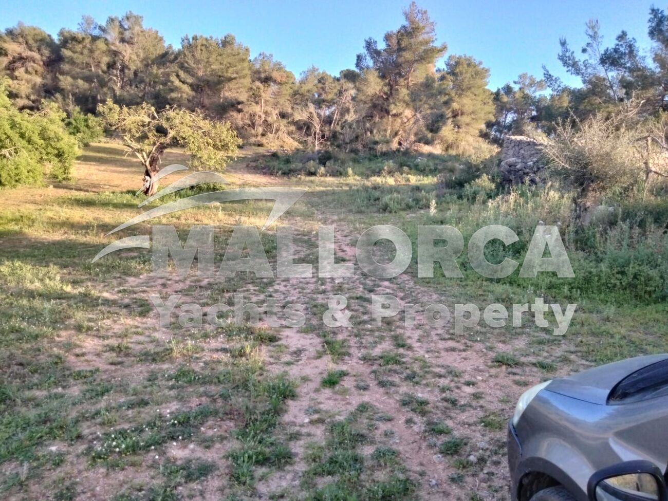 HouseFor Sale, Felanitx, Baleares