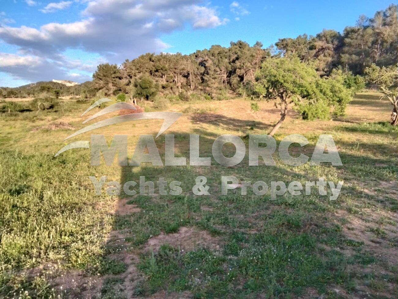 HouseFor Sale, Felanitx, Baleares