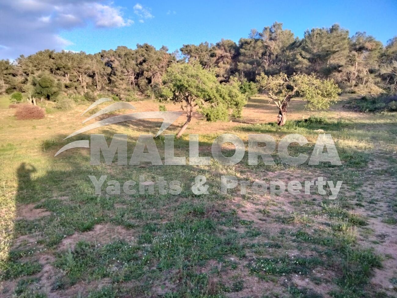 HouseFor Sale, Felanitx, Baleares