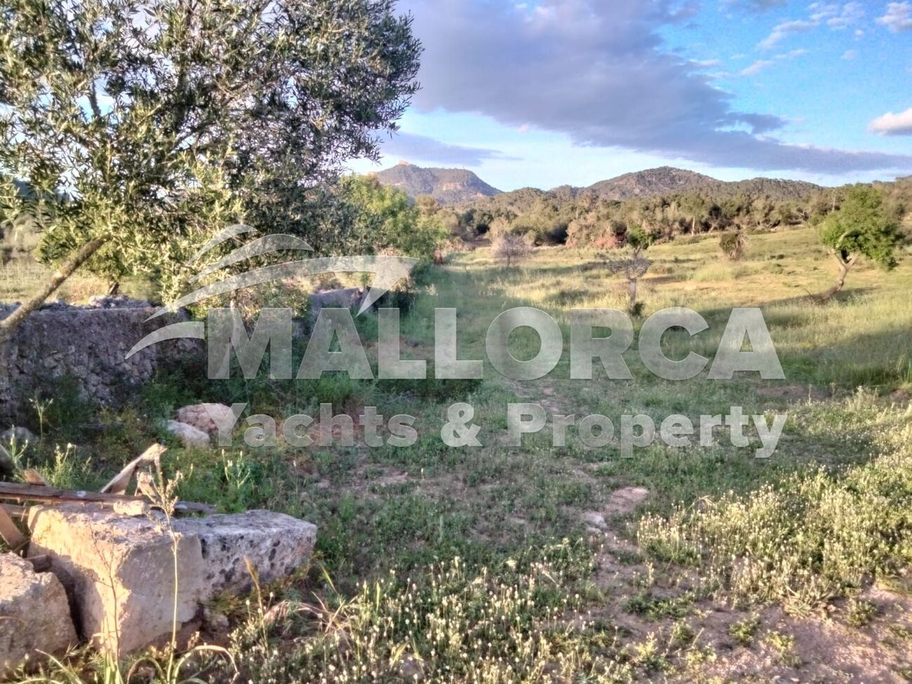 HouseFor Sale, Felanitx, Baleares