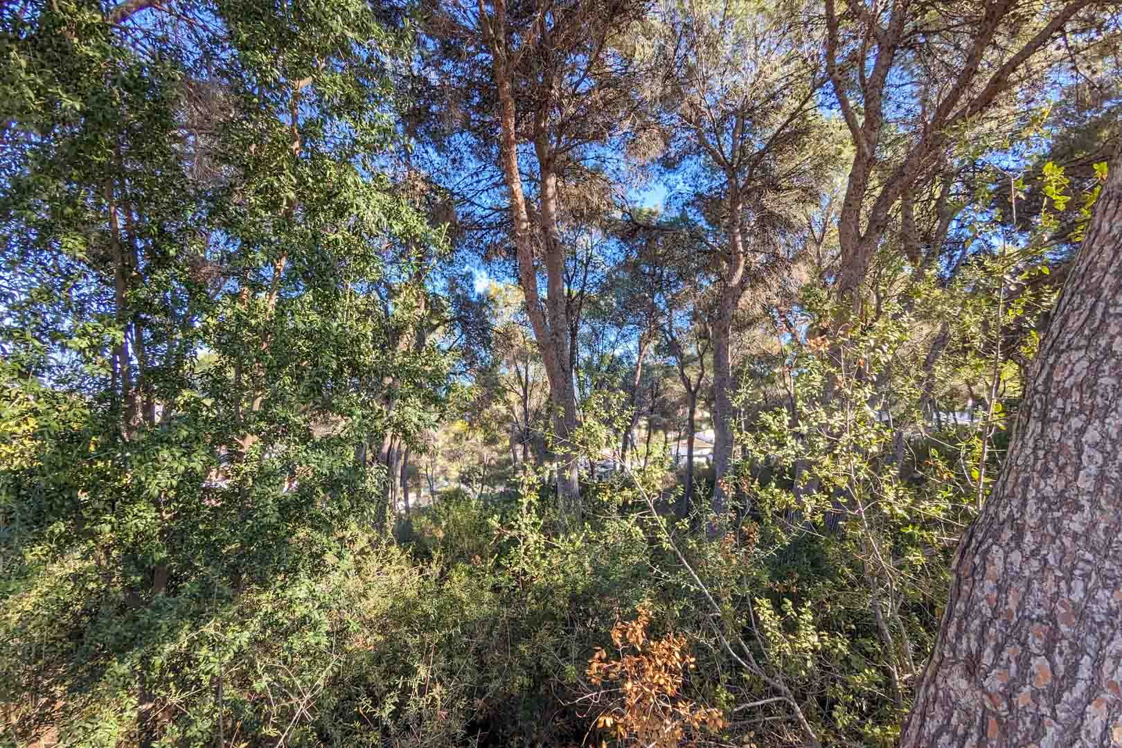 6 Bed, 8 Bath, HouseFor Sale, Moraira, Alicante