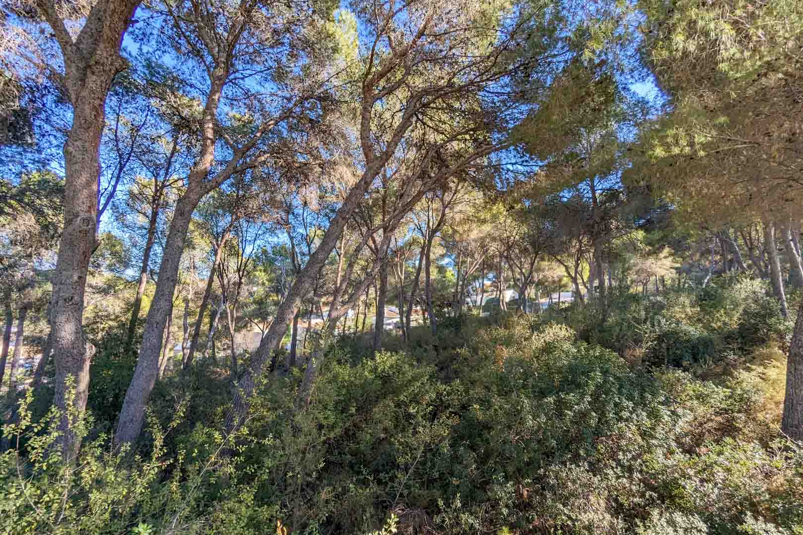 6 Bed, 8 Bath, HouseFor Sale, Moraira, Alicante