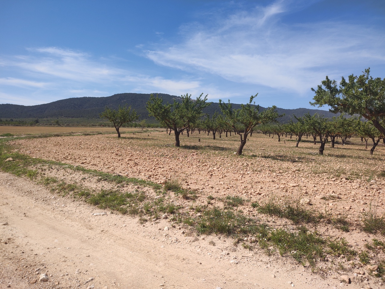 3 Bed, 3 Bath, HouseFor Sale, Pinoso, Alicante