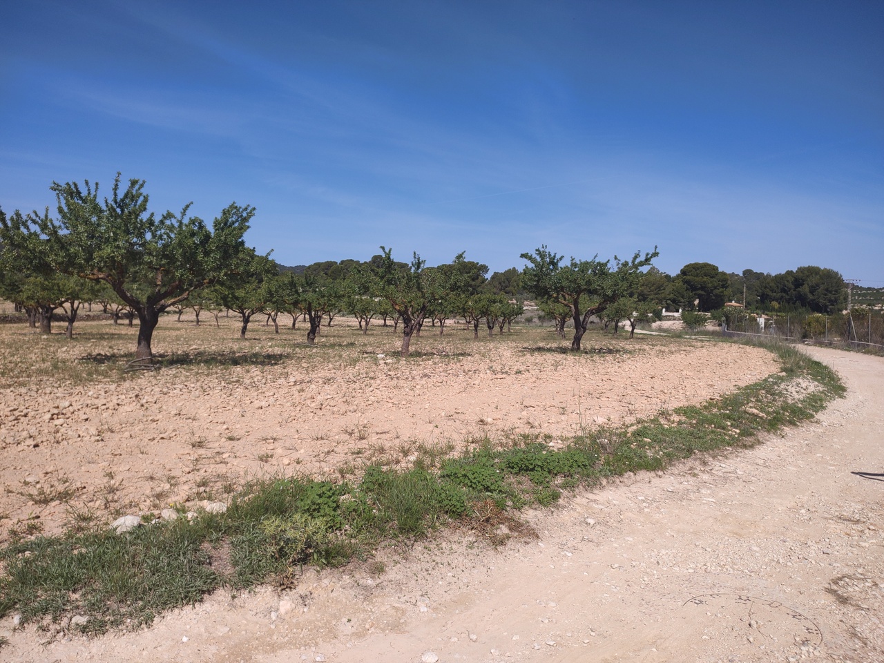 3 Bed, 3 Bath, HouseFor Sale, Pinoso, Alicante