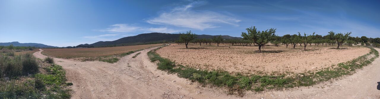 3 Bed, 3 Bath, HouseFor Sale, Pinoso, Alicante