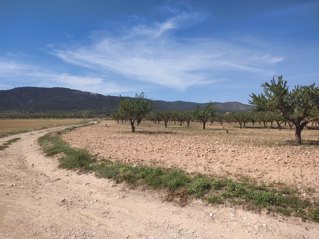 3 Bed, 3 Bath, HouseFor Sale, Pinoso, Alicante