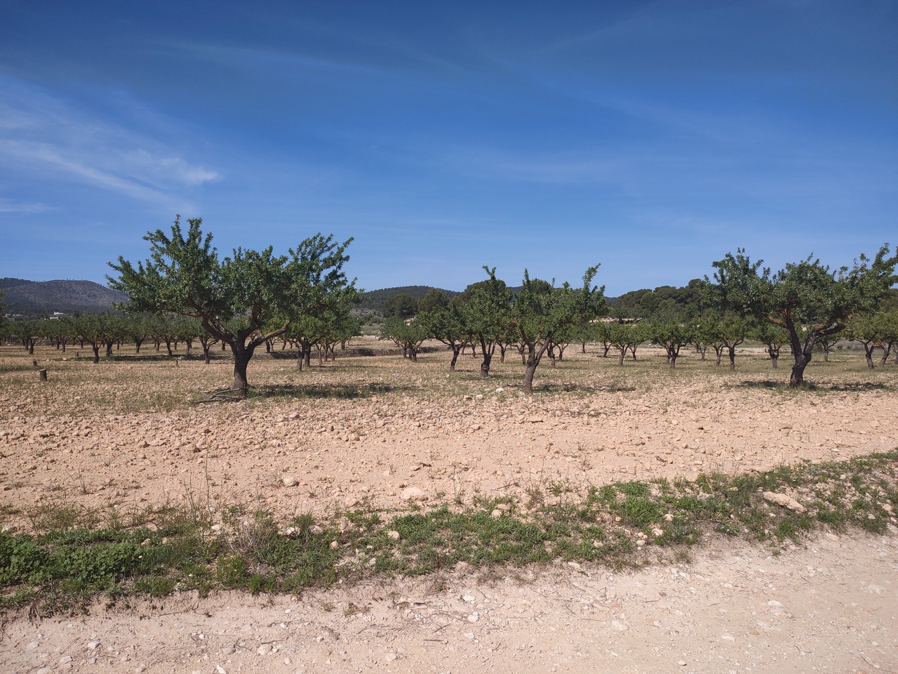 3 Bed, 3 Bath, HouseFor Sale, Pinoso, Alicante