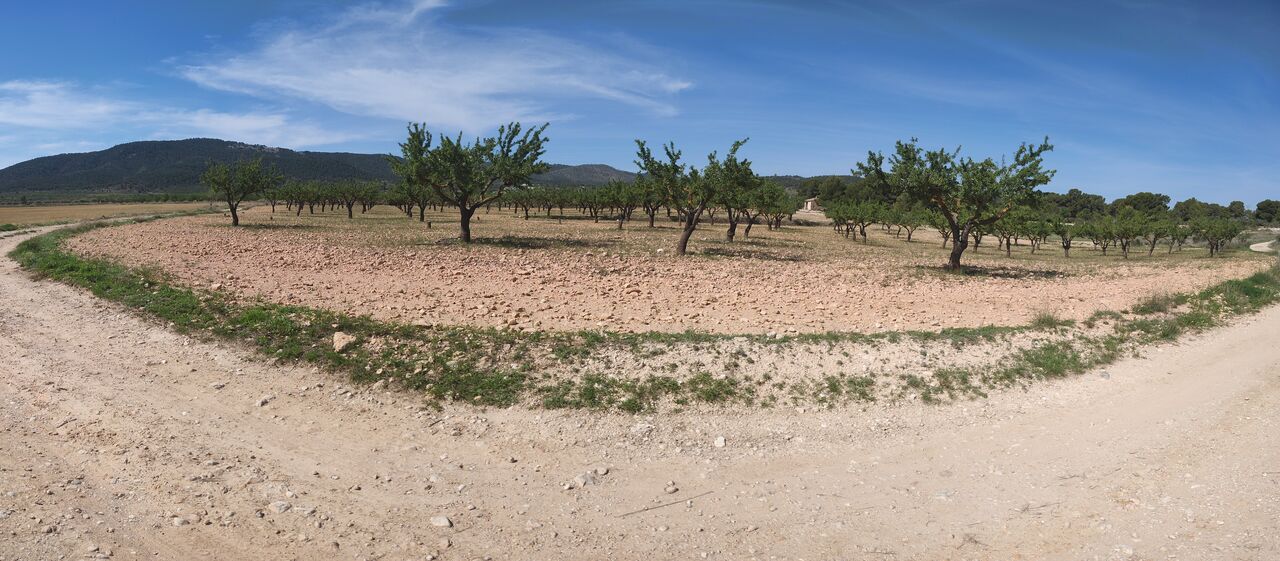 3 Bed, 3 Bath, HouseFor Sale, Pinoso, Alicante