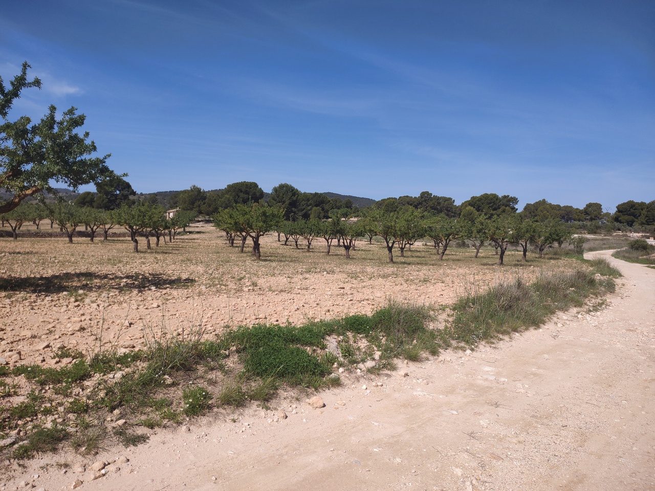 3 Bed, 3 Bath, HouseFor Sale, Pinoso, Alicante