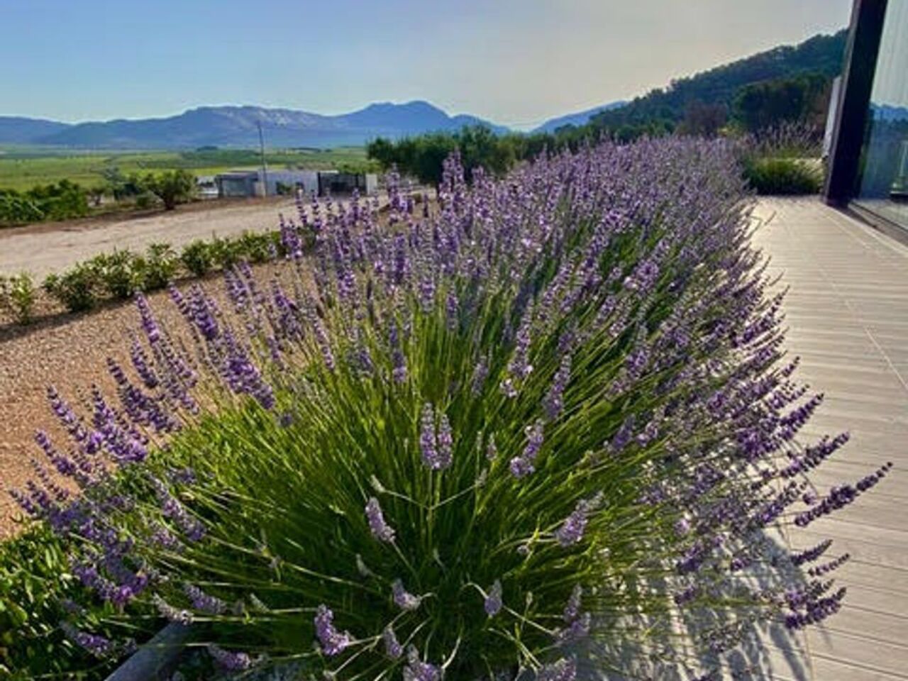 3 Bed, 3 Bath, HouseFor Sale, Canada De La Lena, Murcia