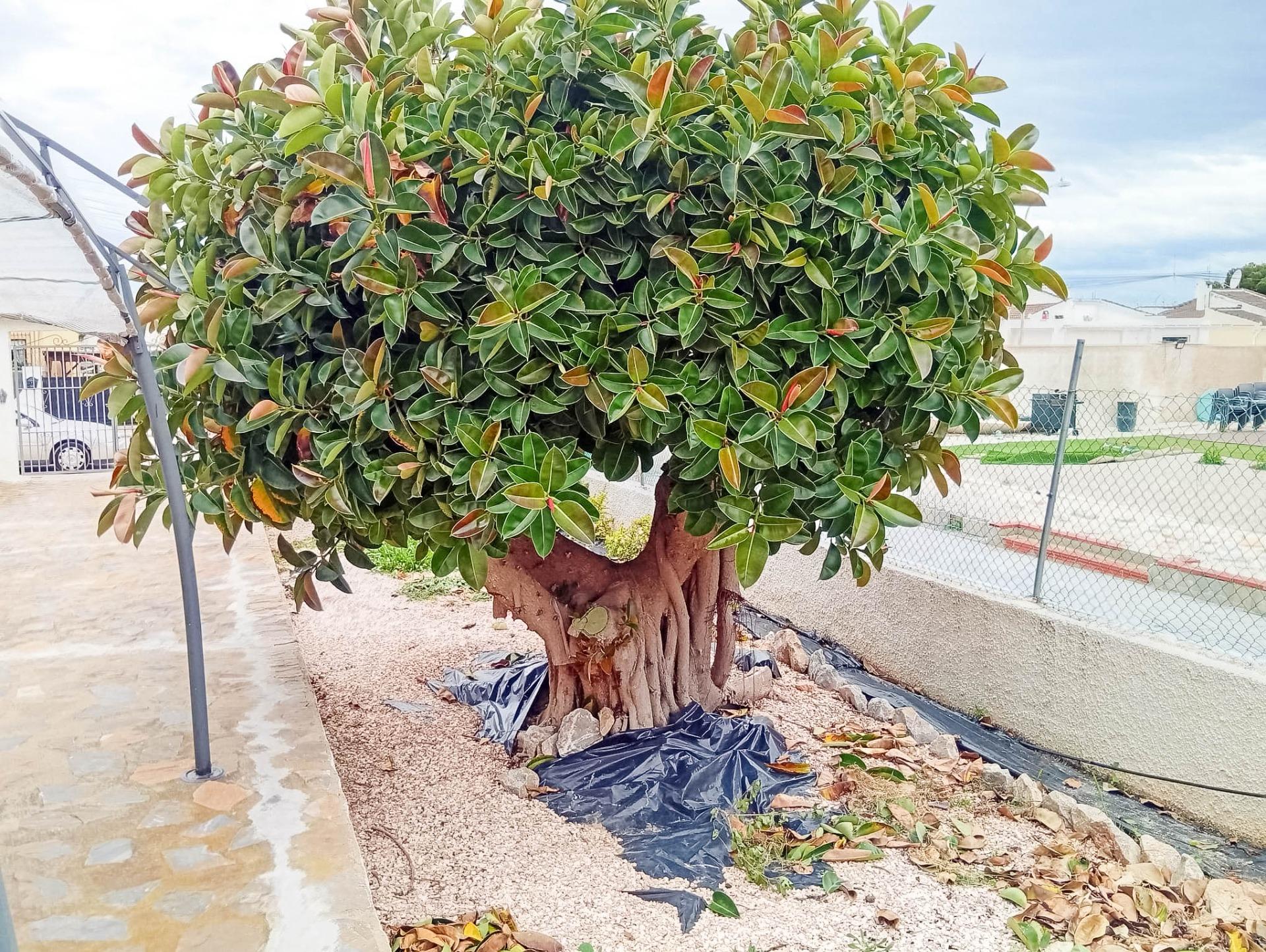 4 Bed, 2 Bath, HouseFor Sale, Torrevieja, Alicante