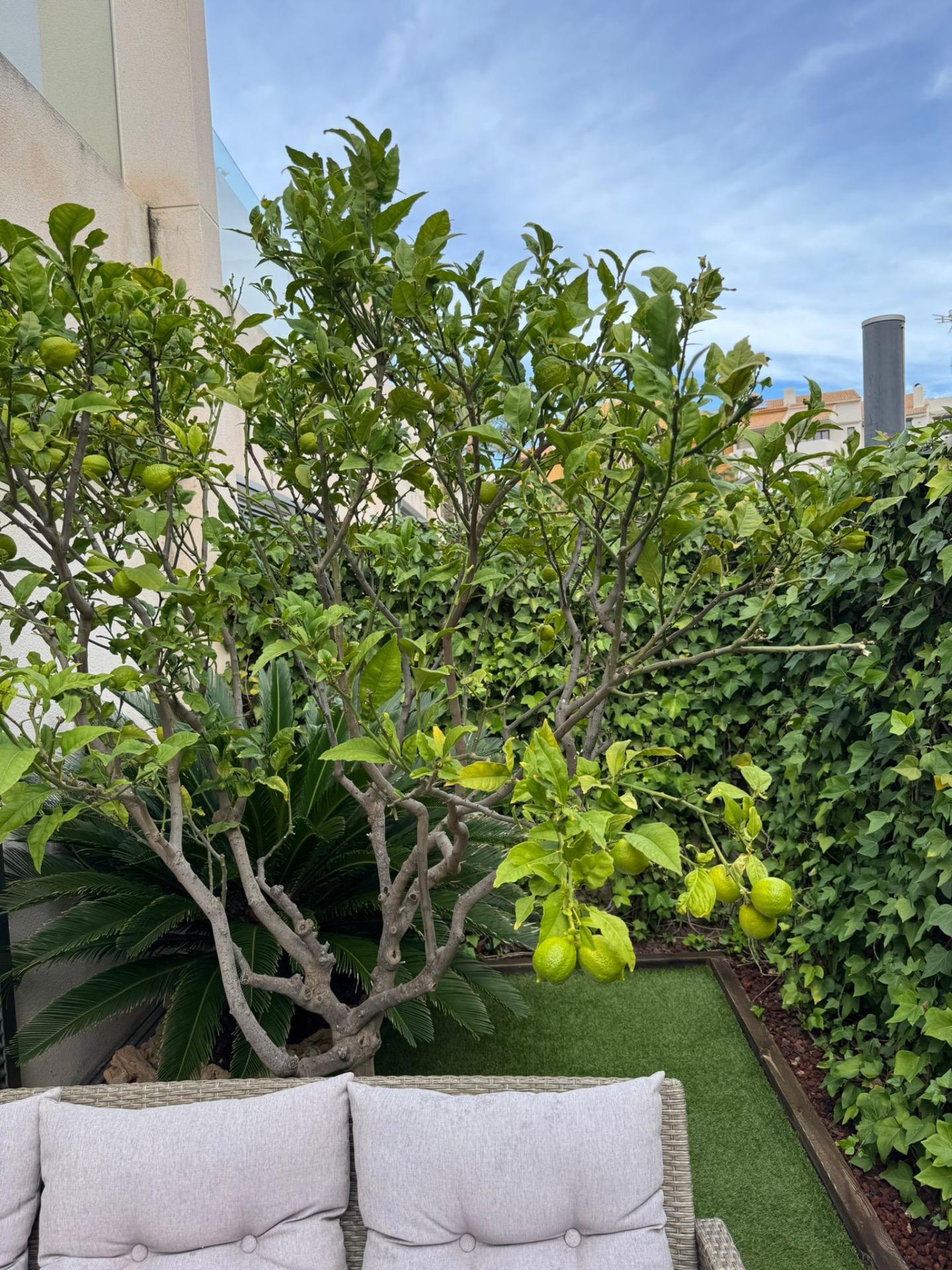 3 Bed, 3 Bath, HouseFor Sale, Torrevieja, Alicante