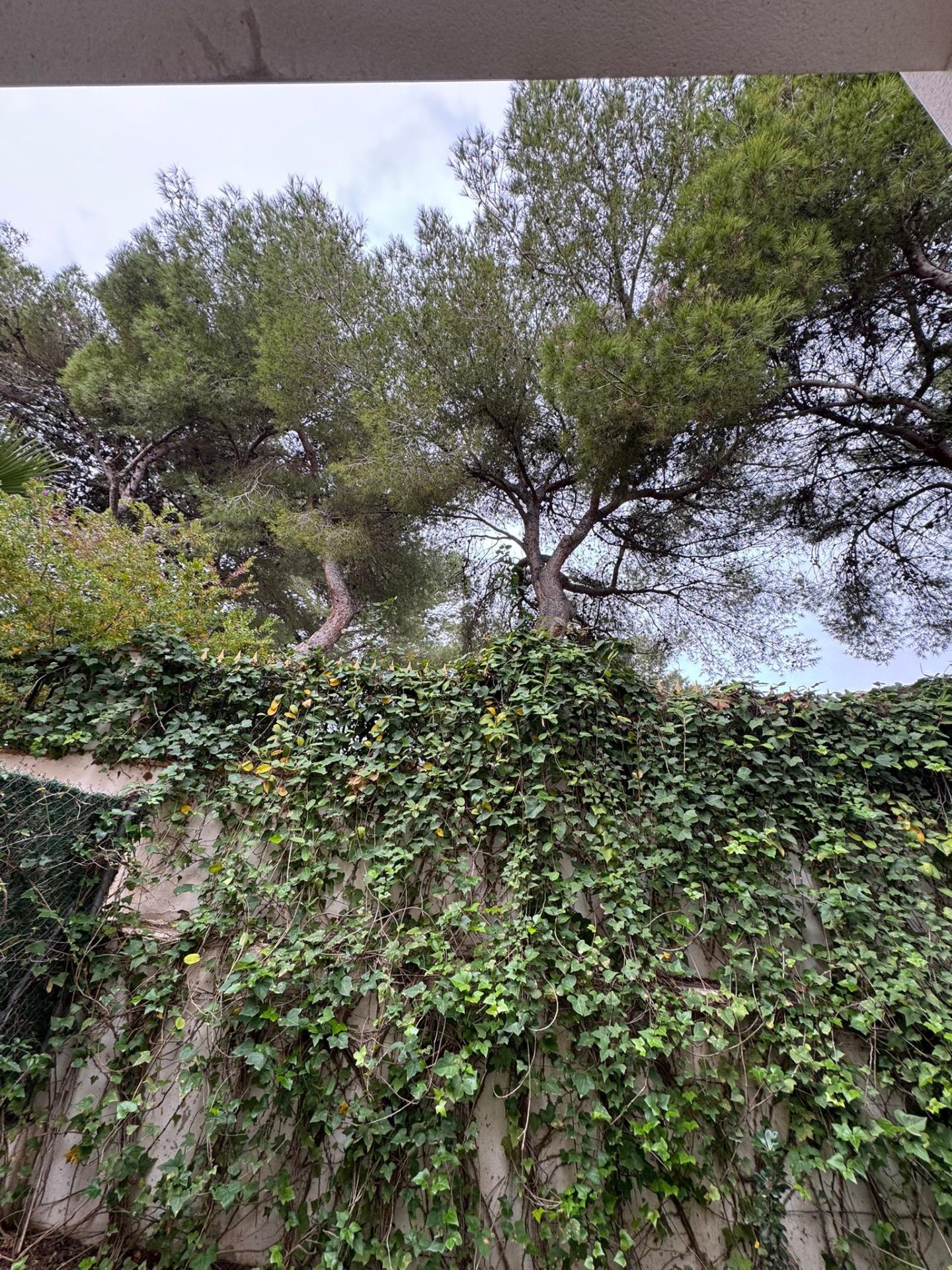 3 Bed, 3 Bath, HouseFor Sale, Torrevieja, Alicante