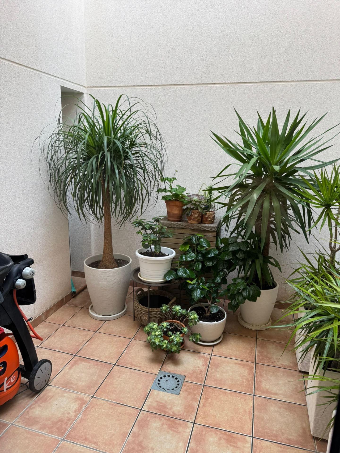 3 Bed, 3 Bath, HouseFor Sale, Torrevieja, Alicante