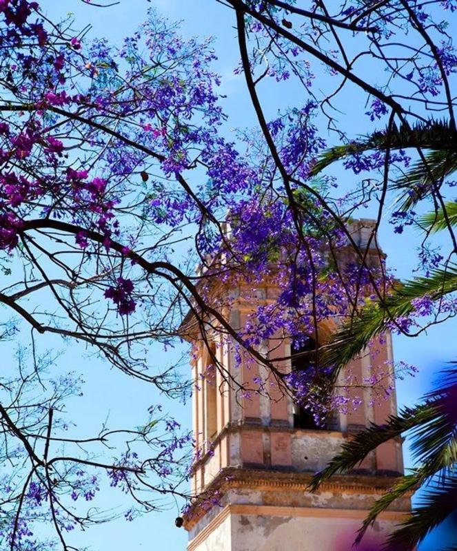 Denia, Alicante, 4 Bedrooms Bedrooms, ,3 BathroomsBathrooms,For Sale,456680