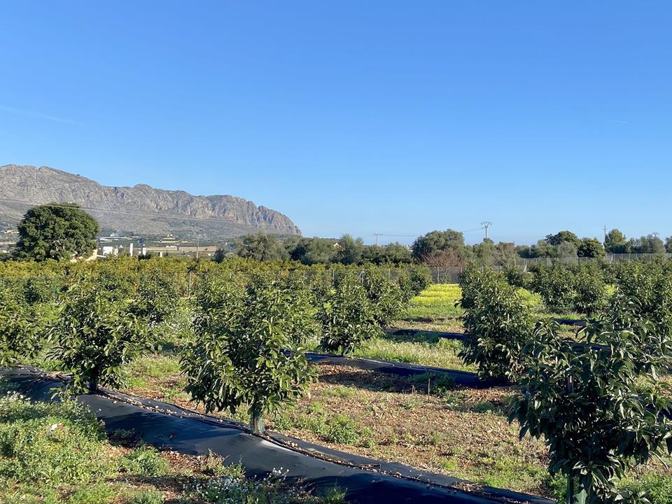 5 Bed, 5 Bath, HouseFor Sale, Benidoleig, Alicante