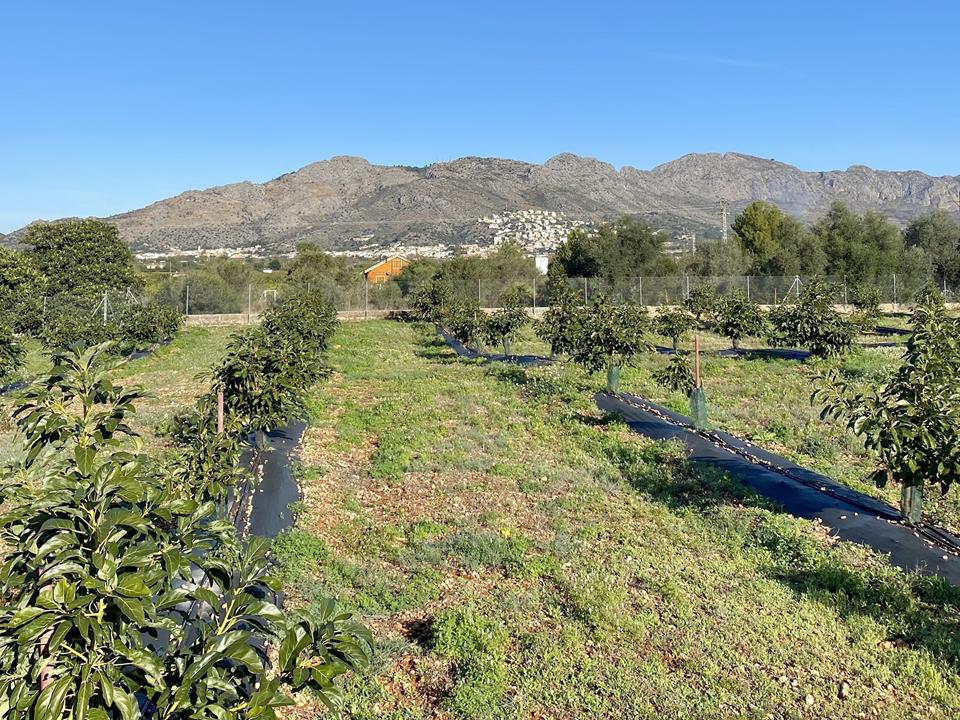 5 Bed, 5 Bath, HouseFor Sale, Benidoleig, Alicante