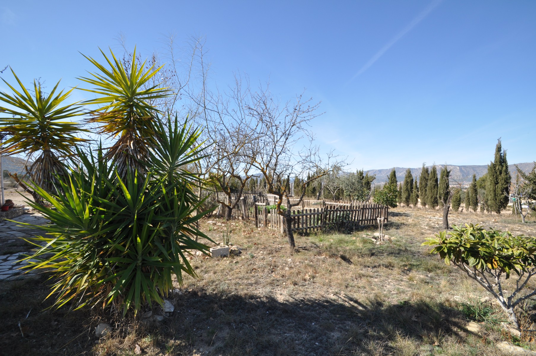 5 Bed, 2 Bath, HouseFor Sale, Salinas, Alicante