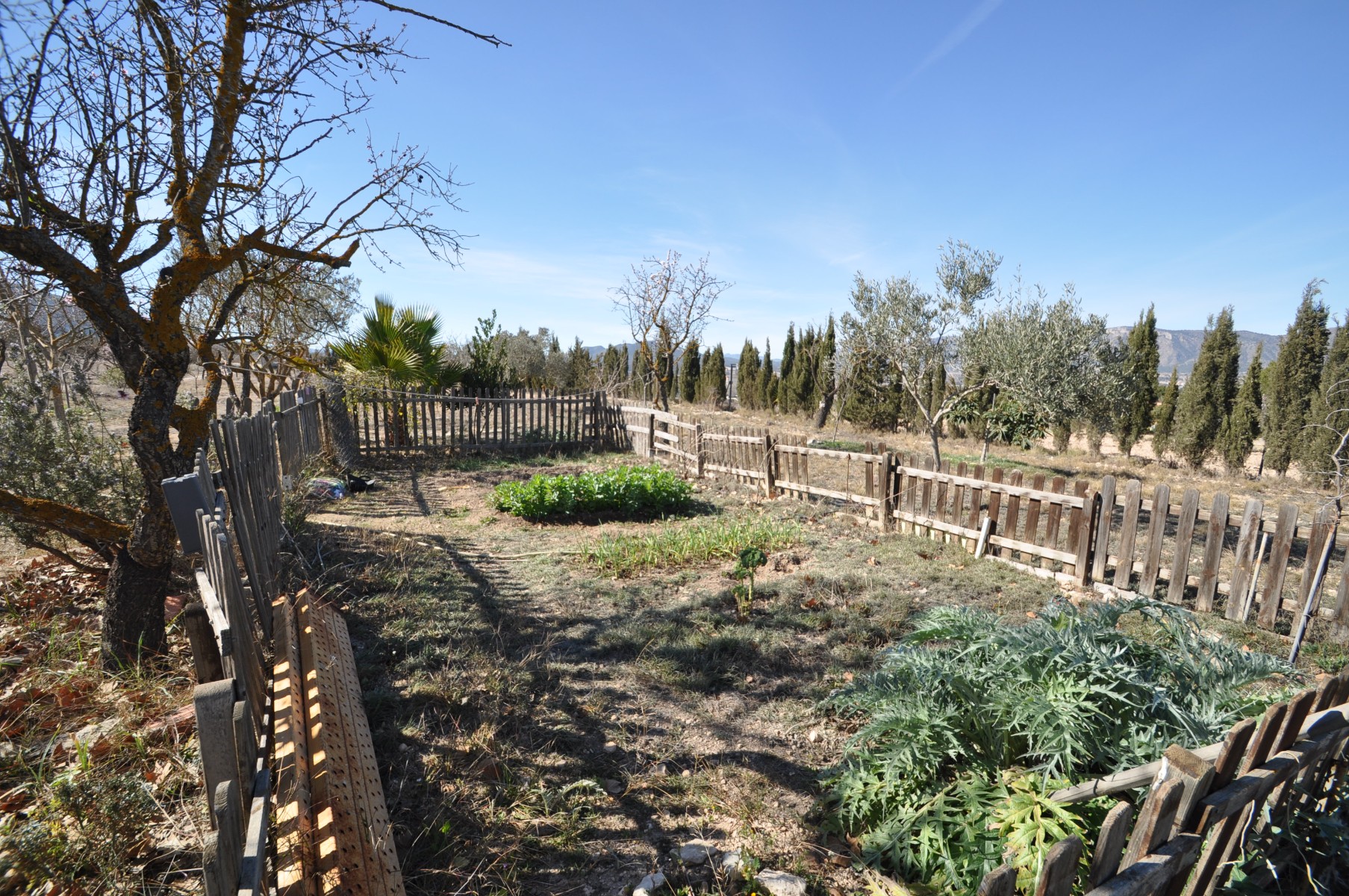 5 Bed, 2 Bath, HouseFor Sale, Salinas, Alicante