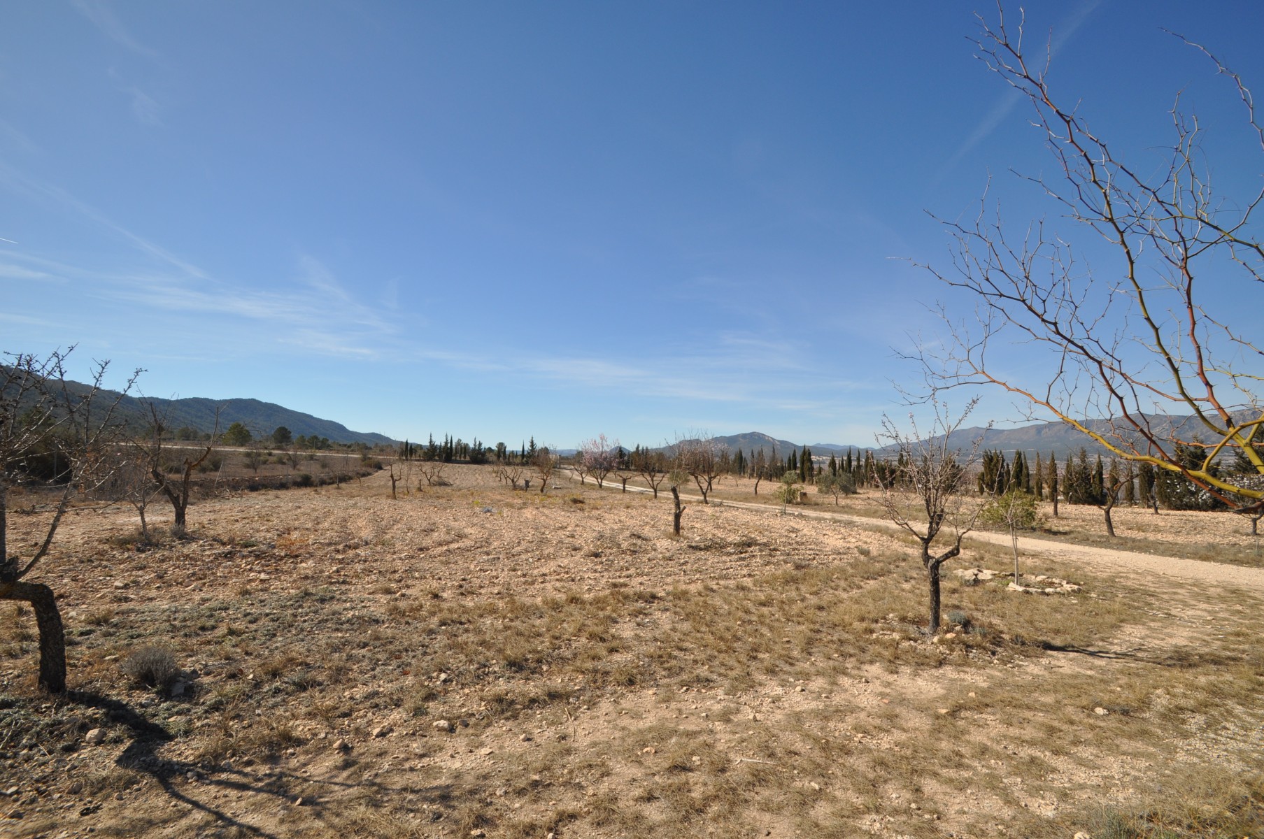 5 Bed, 2 Bath, HouseFor Sale, Salinas, Alicante