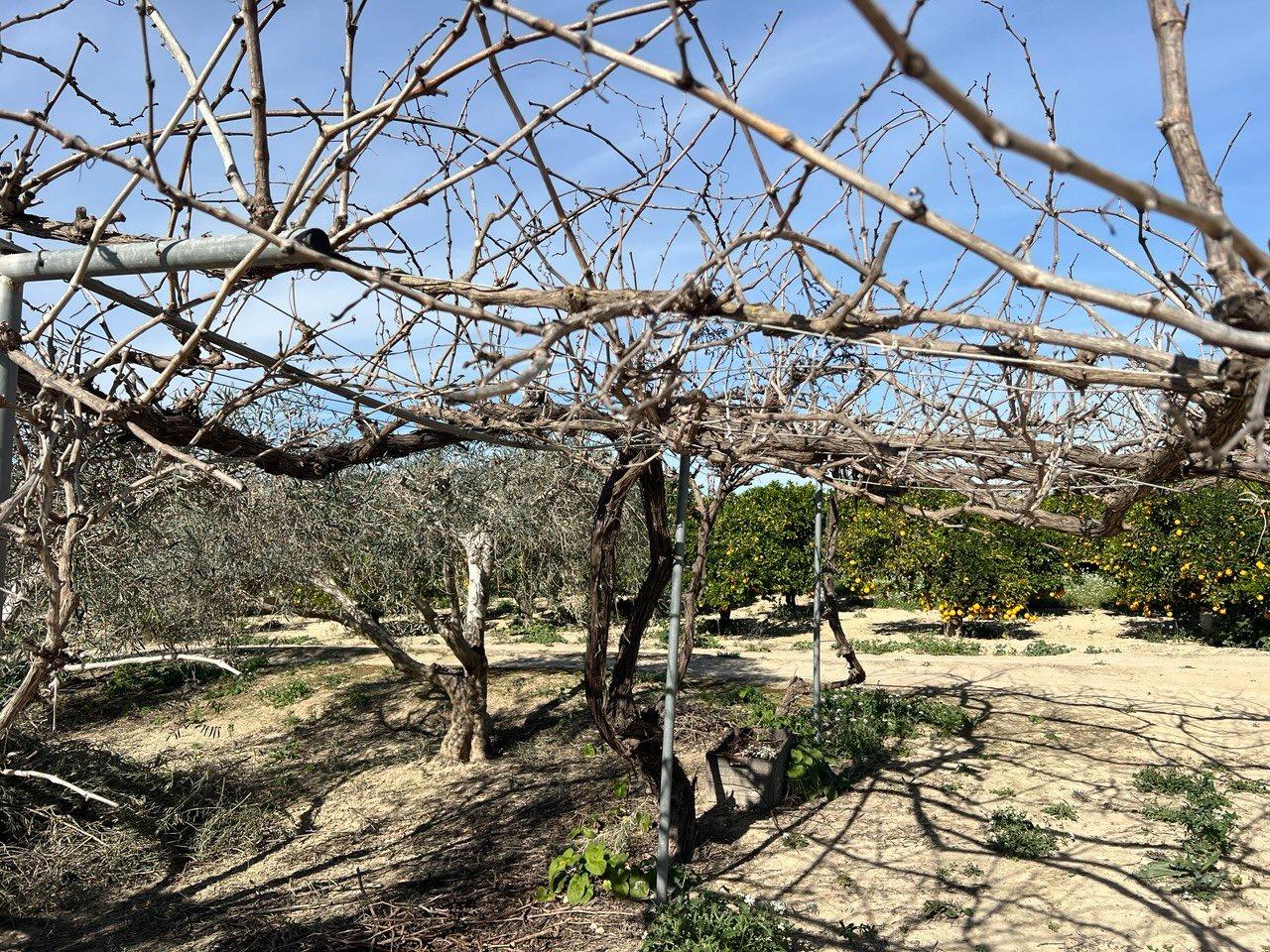 1 Bed, 1 Bath, HouseFor Sale, Los Montesinos, Alicante