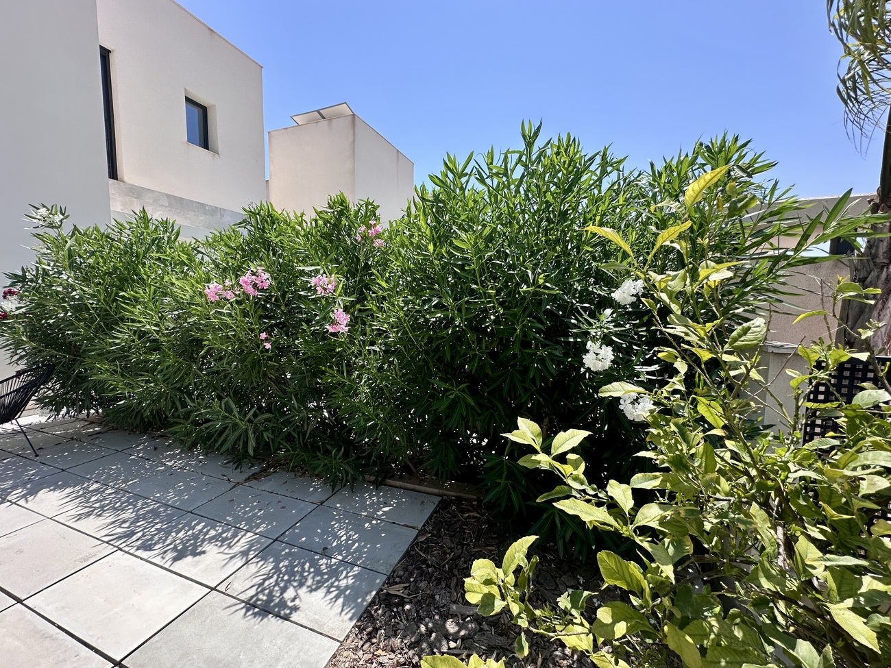 4 Bed, 5 Bath, HouseFor Sale, Rojales Hills, Alicante