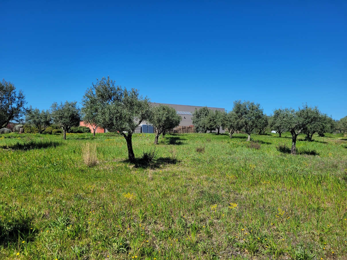 Commercial Property, For Sale