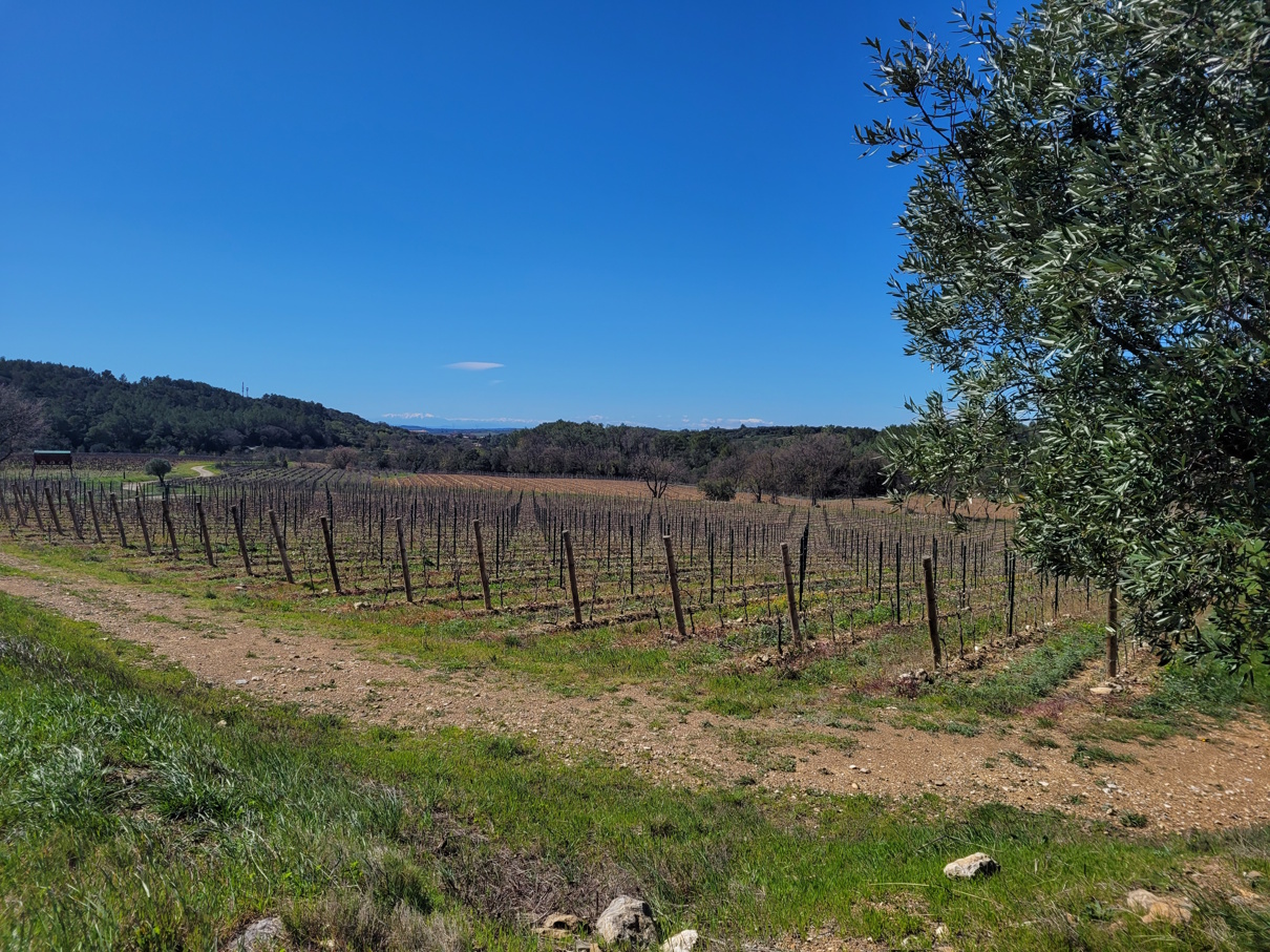 Commercial Property, For Sale