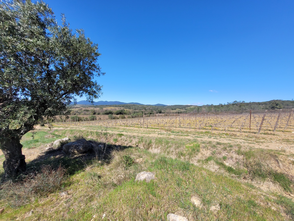 Commercial Property, For Sale