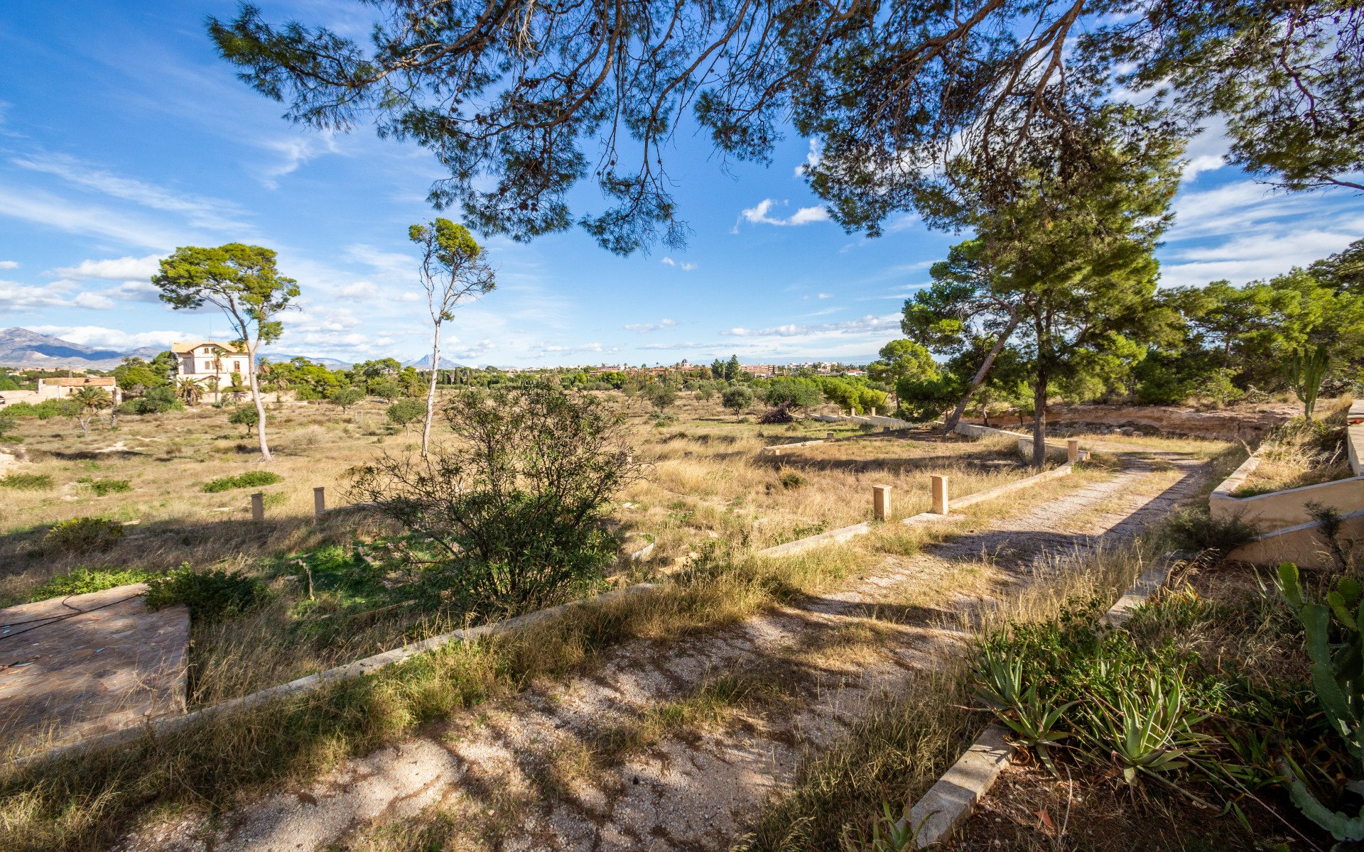 7 Bed, 3 Bath, HouseFor Sale, Alicante, Alicante