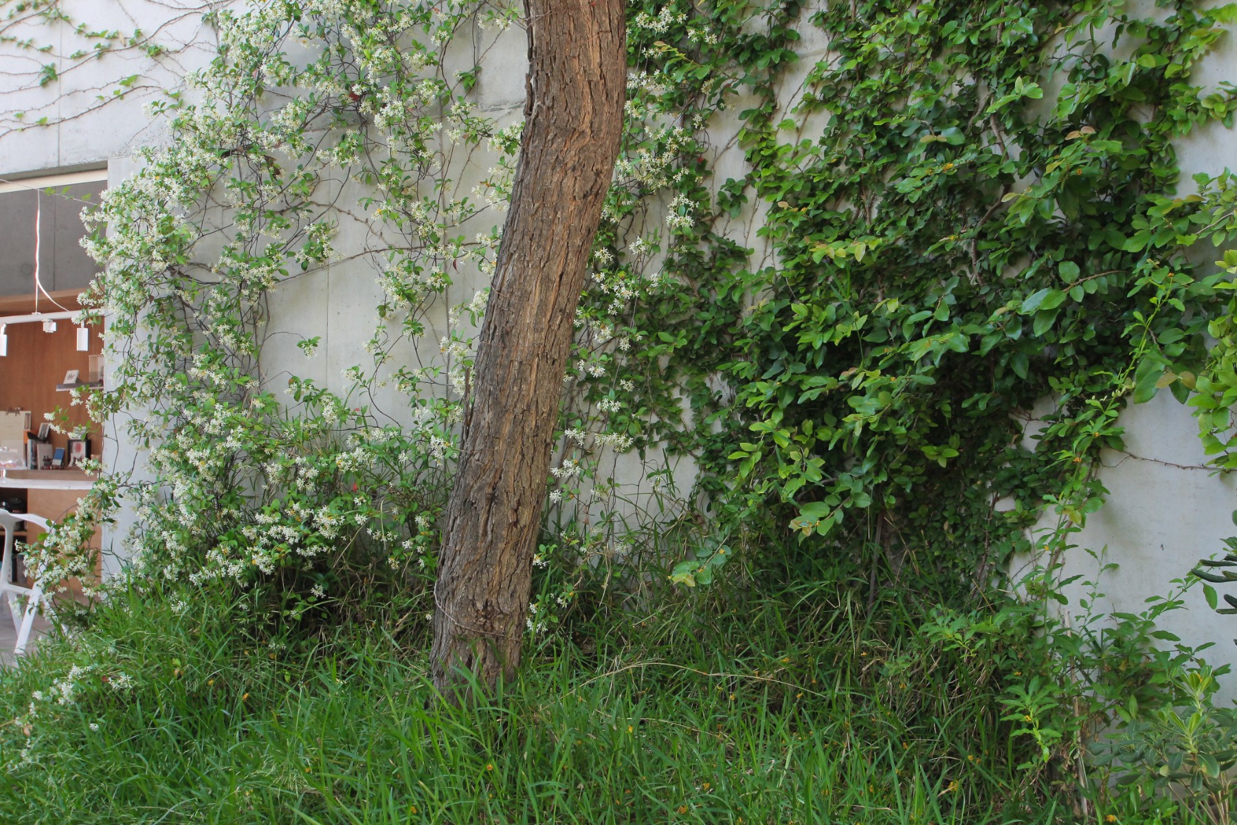 3 Bed, 3 Bath, HouseFor Sale, San Vicente del Raspeig, Alicante