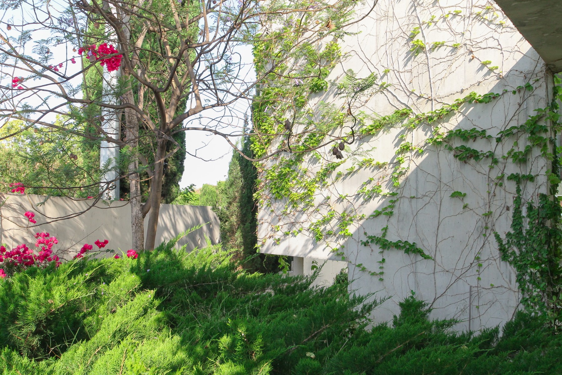 3 Bed, 3 Bath, HouseFor Sale, San Vicente del Raspeig, Alicante