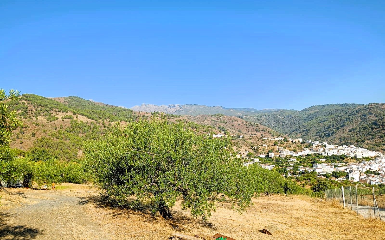 HouseFor Sale, Tolox, Malaga